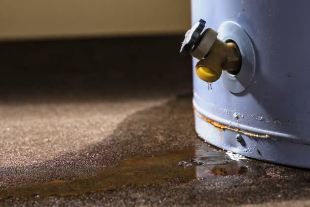 Best Water damage restoration experts  in Fairview, NJ