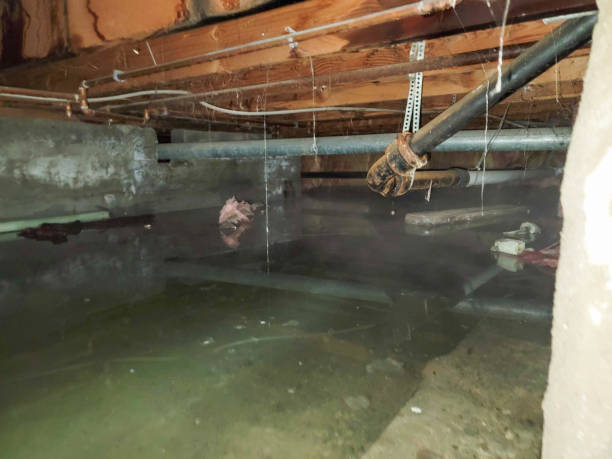  Fairview, NJ Water damage restoration Pros