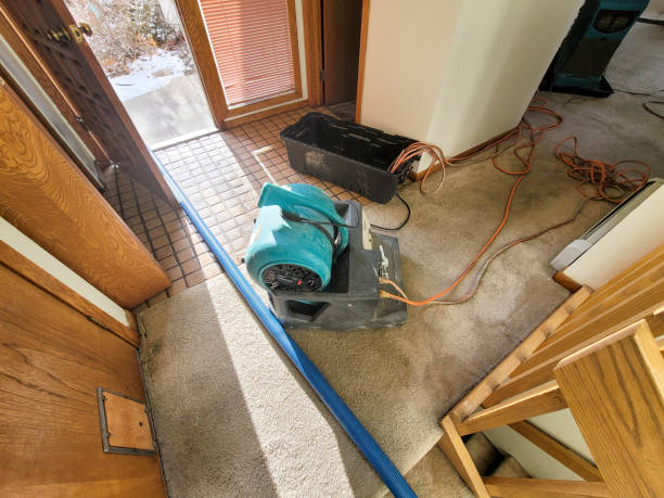 Best Water damage cleanup near me  in Fairview, NJ