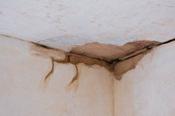 Best Carpet water damage restoration  in Fairview, NJ