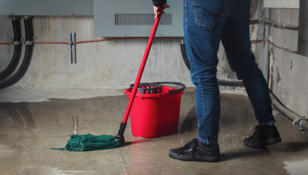 Best Water damage cleanup near me  in Fairview, NJ