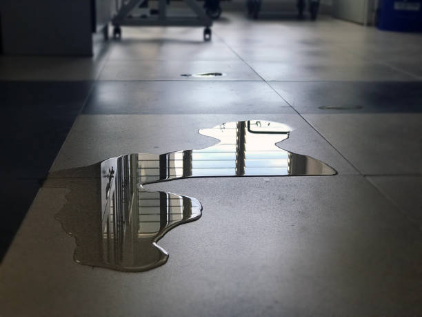 Water damage restoration experts in NJ