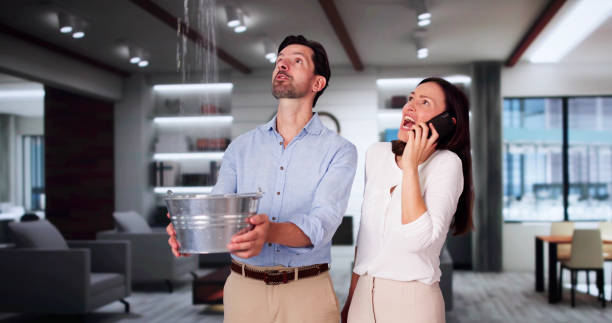 Best Professional water damage repair  in Fairview, NJ